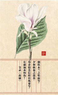 端午紀念 最美楚辭,最美植物