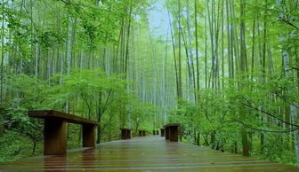 新西湖十景 一 西湖新景如夢
